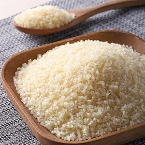 Gelatin Wholesale Factory Marine Unflavored Gelatin Food Additives CAS 9000-70-8 Pork Skin Gelatin